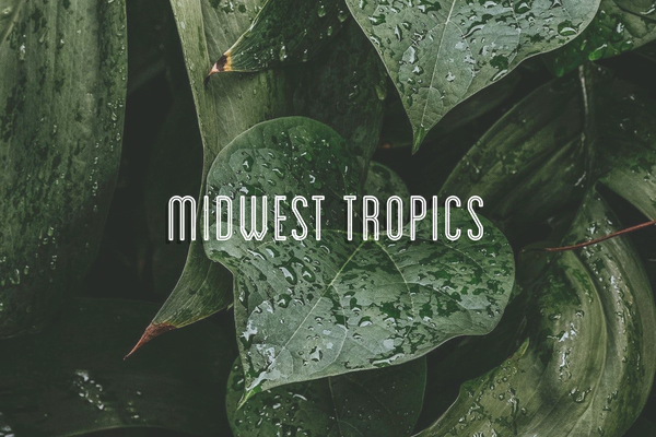 Midwest Tropics 